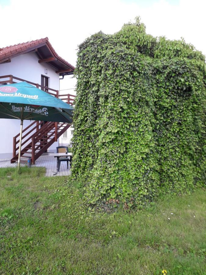 Penzion A Restaurace U Strnada Klatovy Eksteriør billede